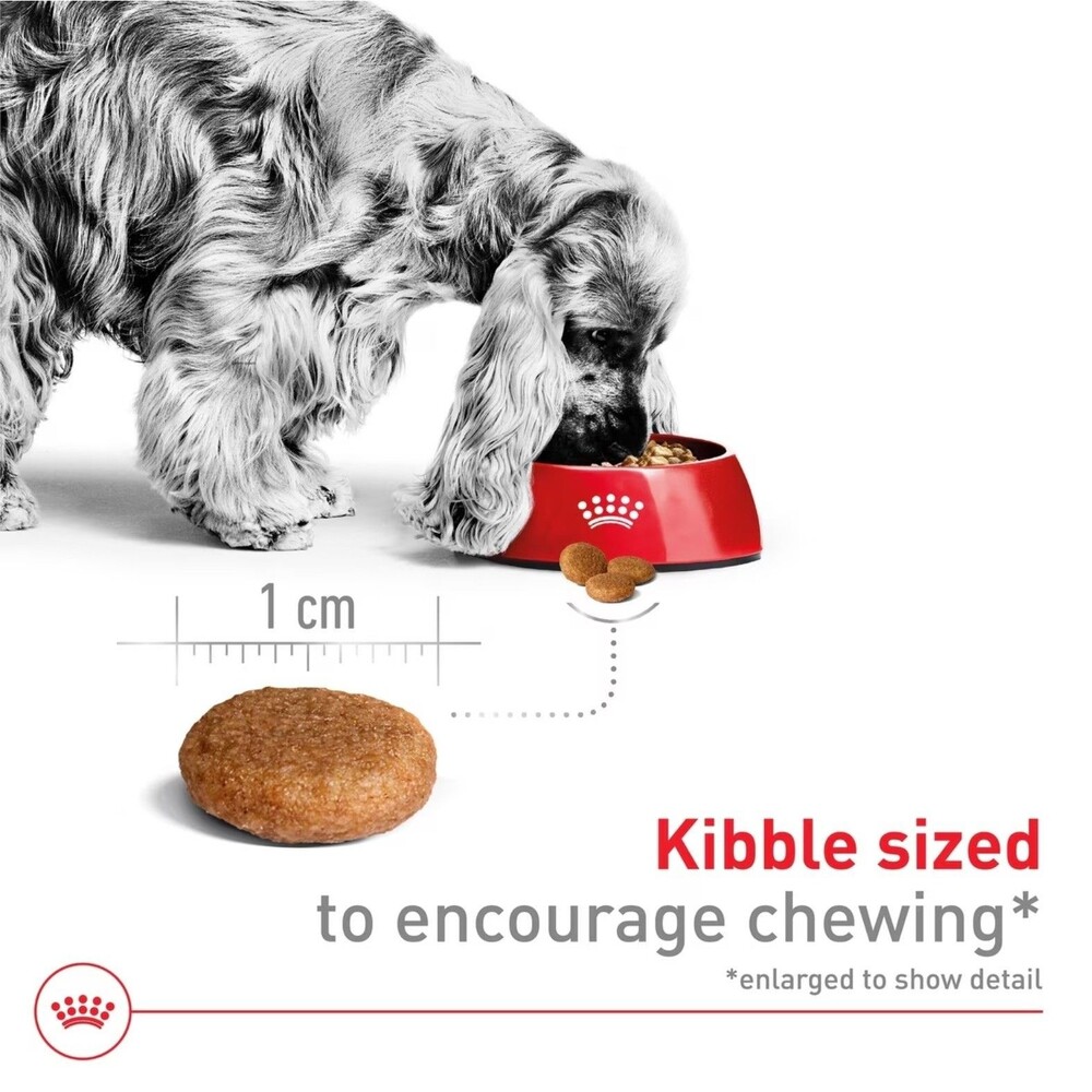 8 lbs. Royal Canin Size Health Nutrition Medium Adult Dry Dog Food, Authentic - Picture 7 of 9